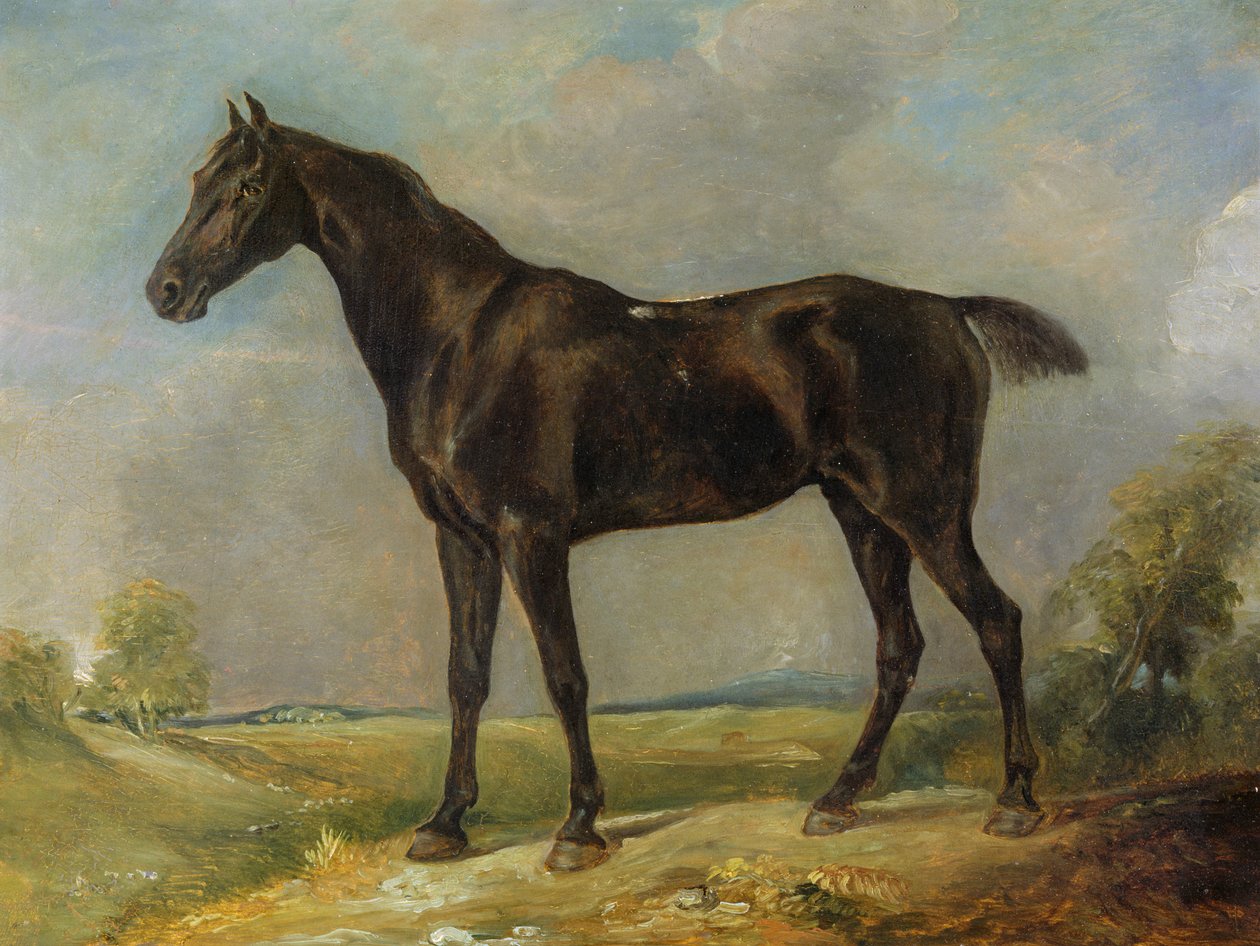 ゴールディングコンスタブルのブラックライディングホース、c.1805-10 作： ジョン・コンスタブル
