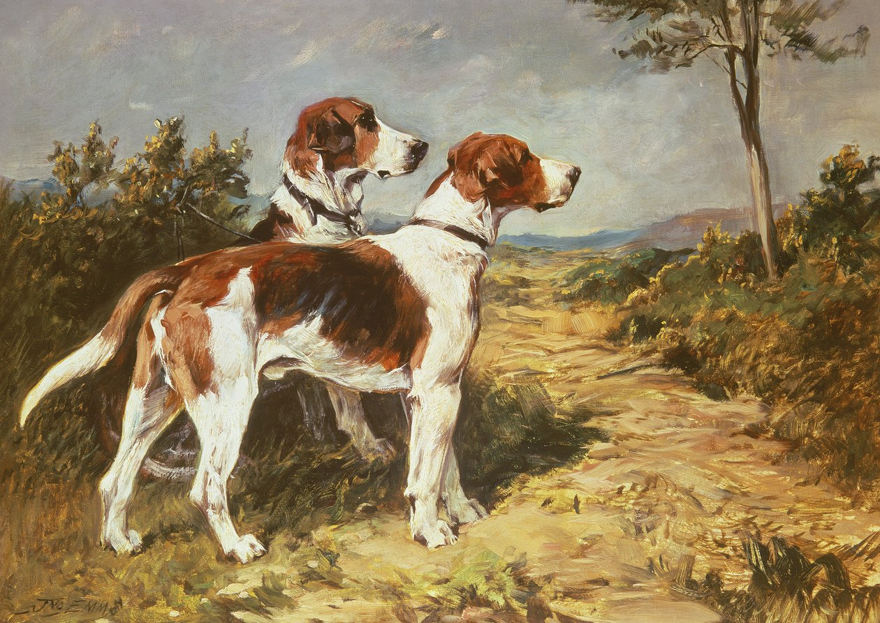 風景の中の2つの猟犬 作： ジョン・エムズ