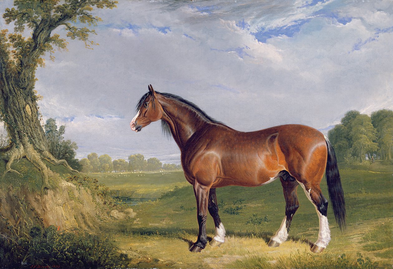クライデスデール種牡馬、1820年 作： ジョン・フレデリック・ヘリング・シニア