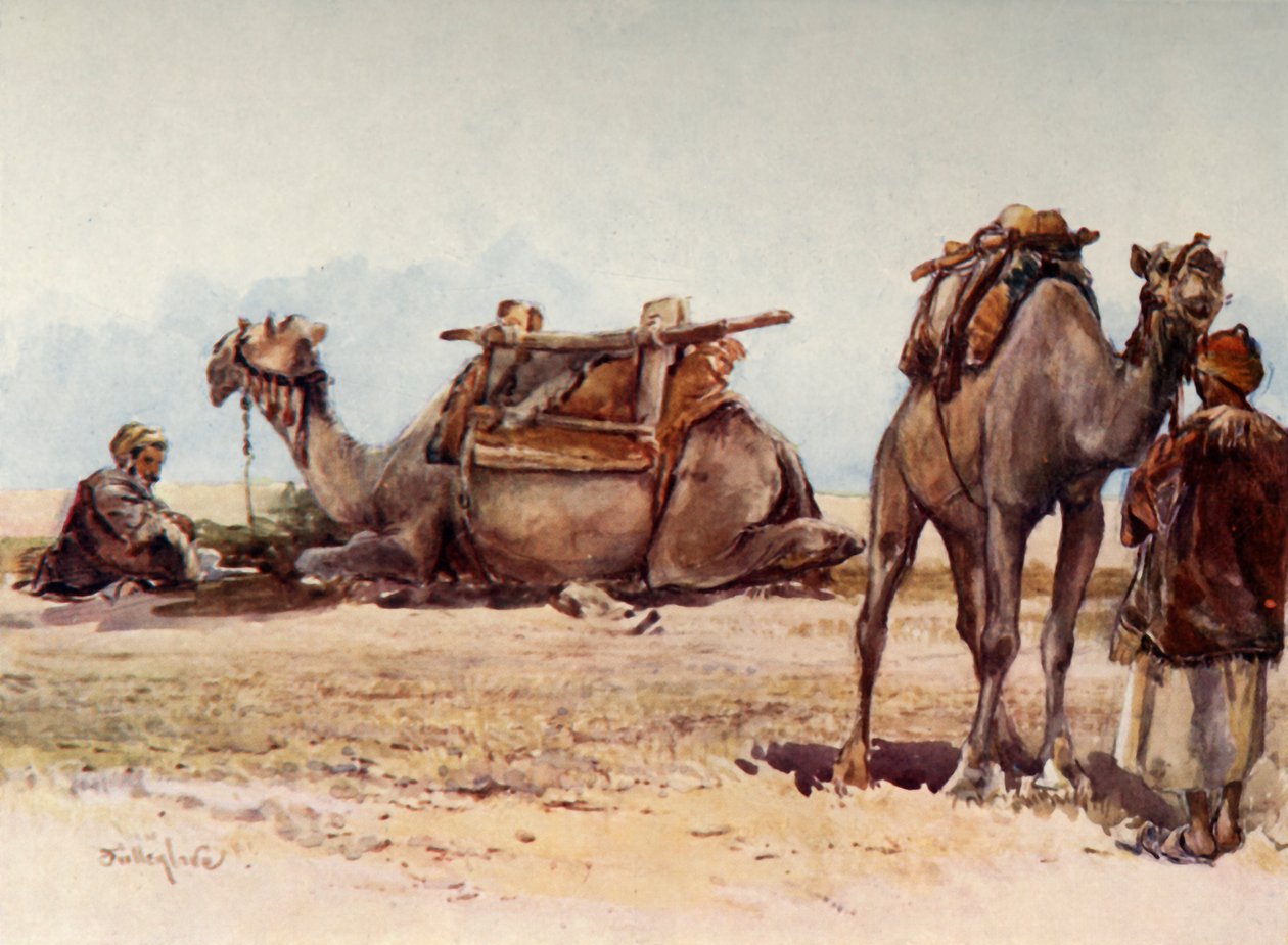 ラクダとアテンダントの研究、1902。 作： John Fulleylove