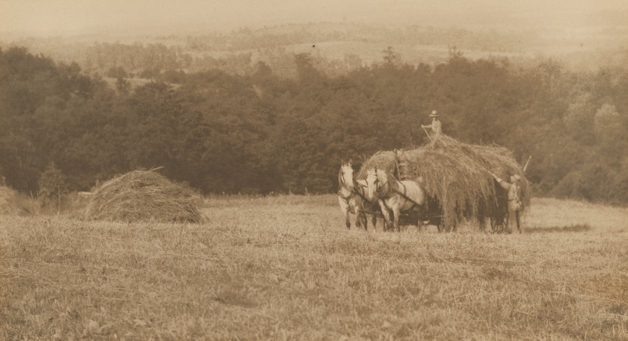 ローディング・ヘイ、1890-1900年（写真） 作： ジョン・G・ブロック