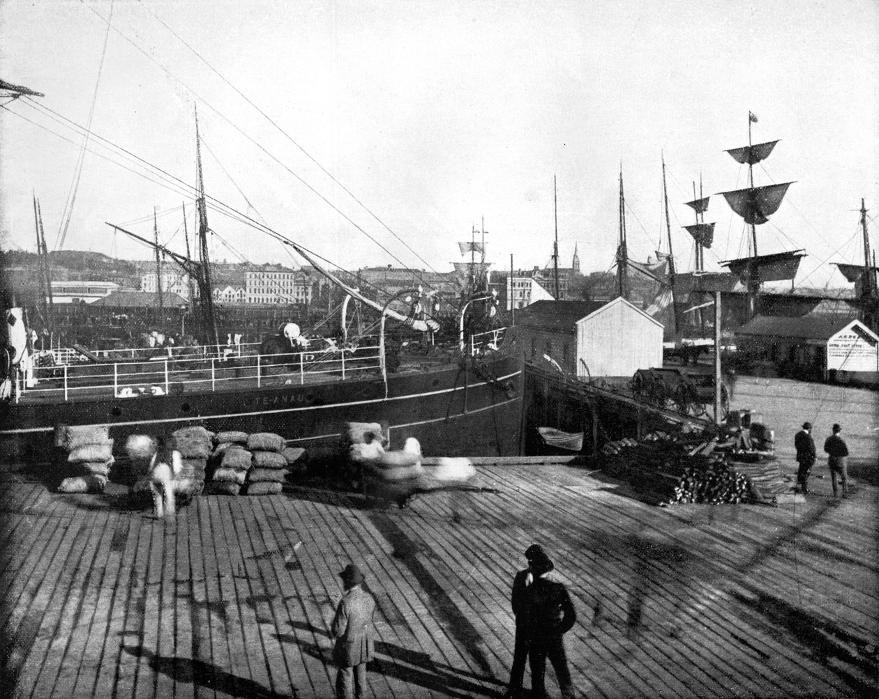 オークランド港、ニュージーランド、1893年。 作： ジョン・L・ストッダード