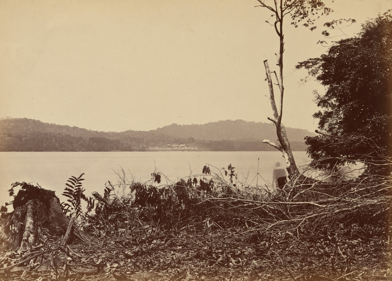 ダリエン港、チピガナ、1871年（写真） 作： ジョン・モラン