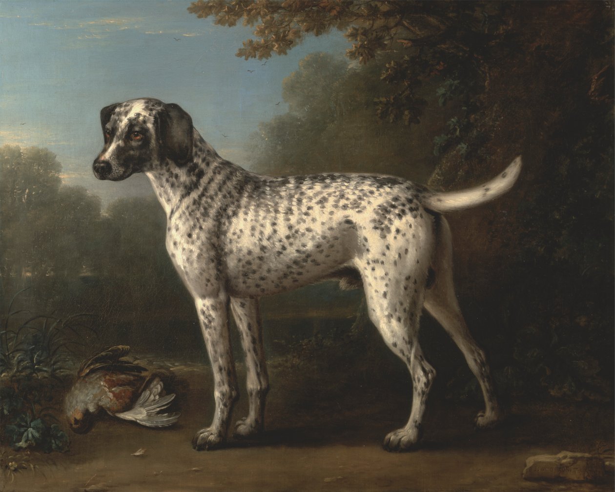灰色の斑点のある猟犬 作： ジョン・ウートン