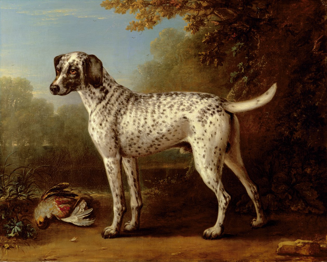 灰色の斑点のある猟犬 作： ジョン・ウートン