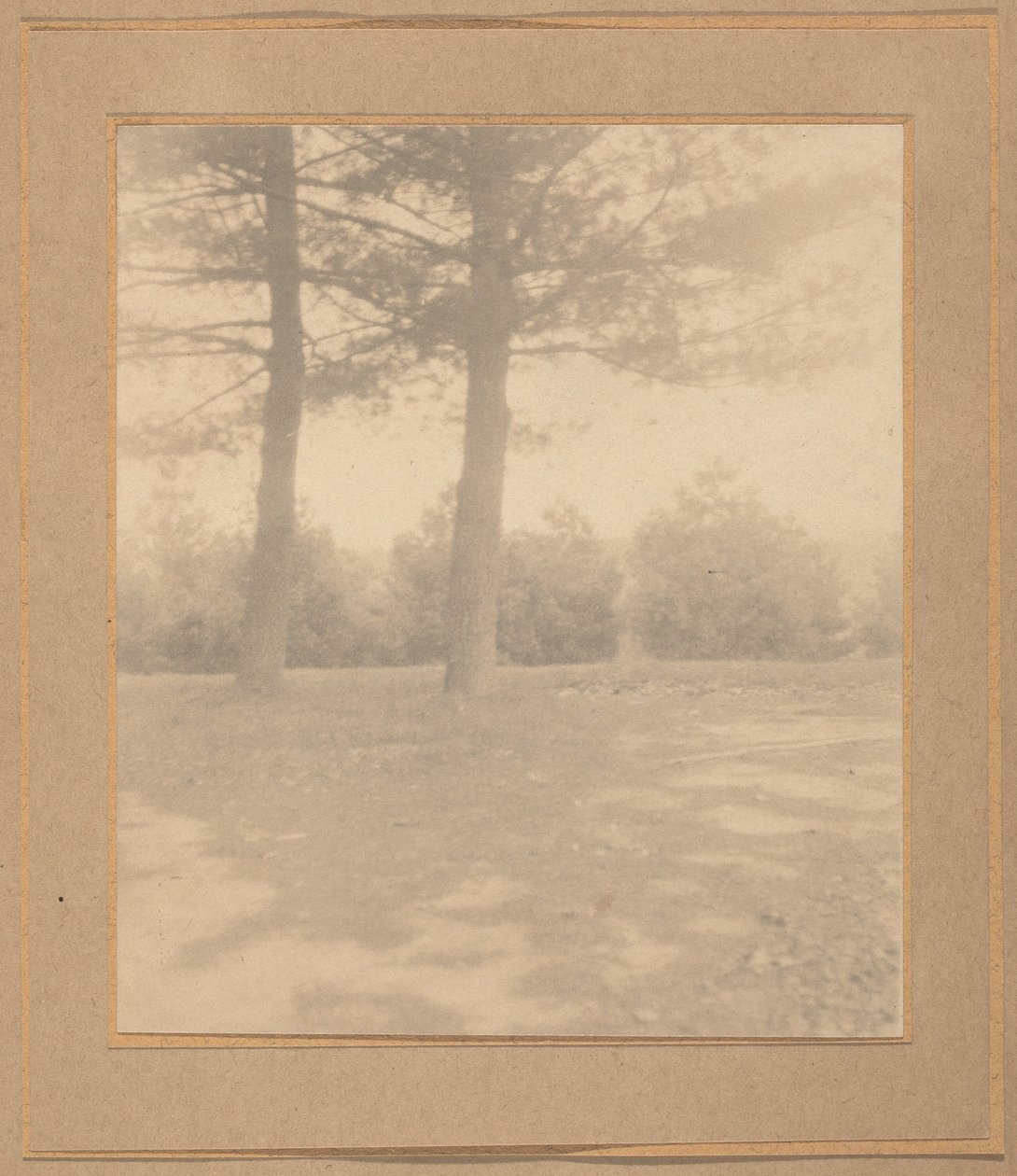 木々のある風景,c.1900年（写真） 作： ジョセフ・ケイリー
