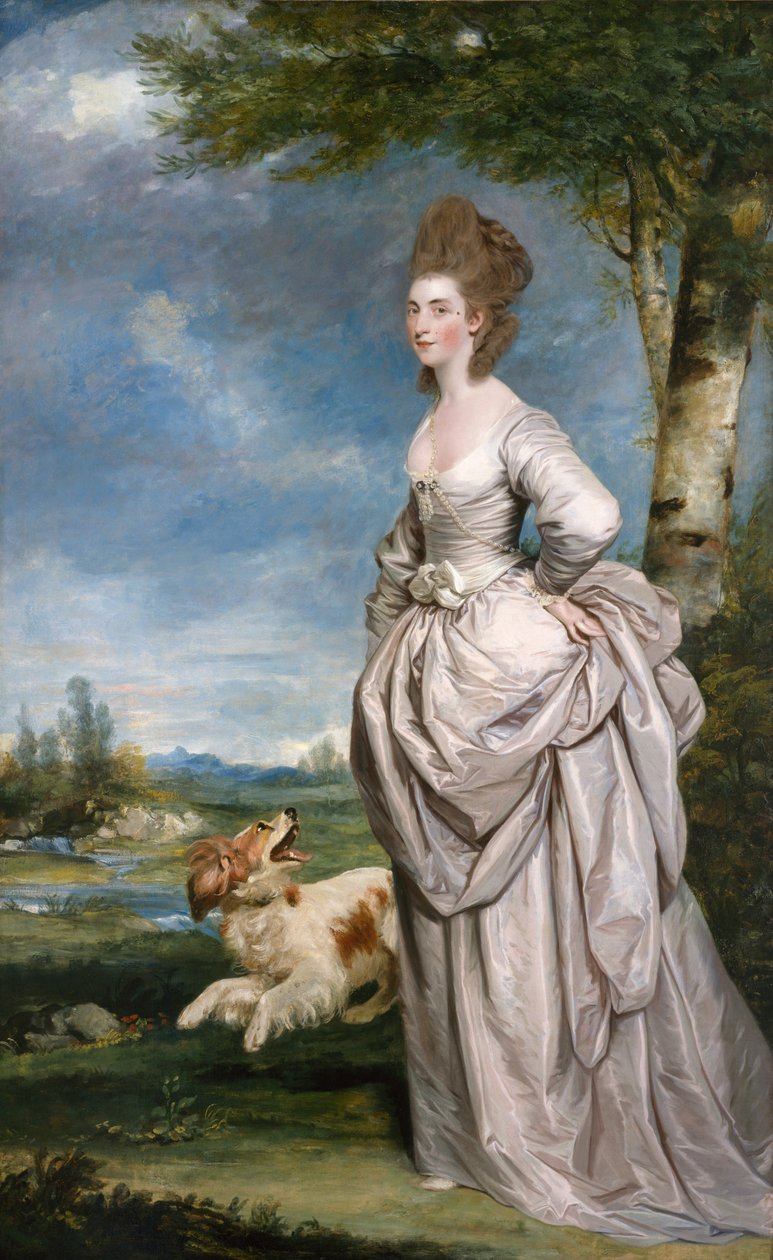 エリシャマシュー夫人の肖像。 1777 作： ジョシュア・レイノルズ