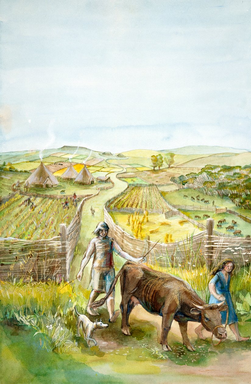 田園風景、2000BC、c1990-2010 作： ジュディス・ドビー