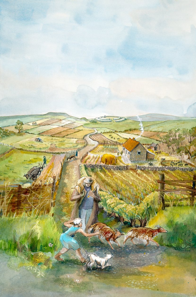 田園風景、3世紀、c1990-2010 作： ジュディス・ドビー