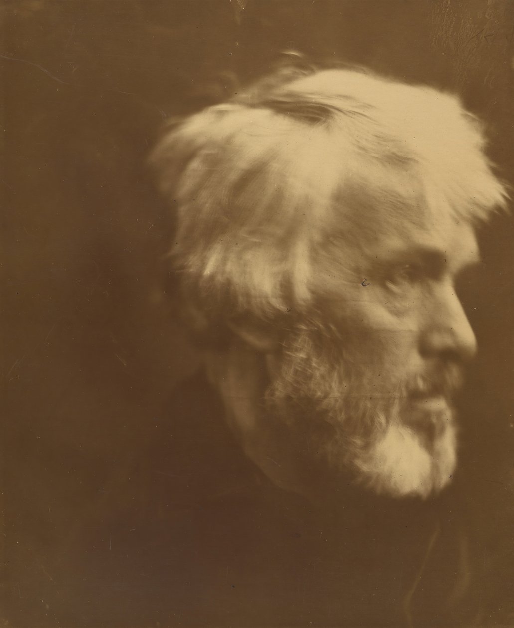 Thomas Carlyle, 1867. 作： ジュリア・マーガレット・キャメロン