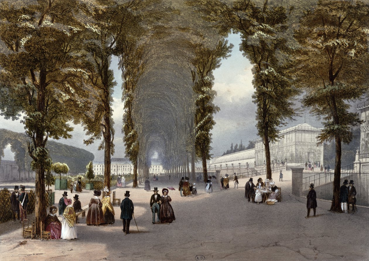パリの眺め：植物園、1840年頃 作： ジャン・ジャコット