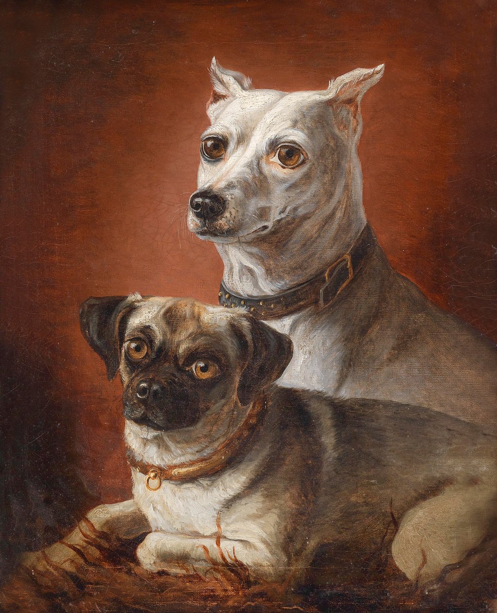 犬のポートレート 作： ジュリアス・ハンバーガー