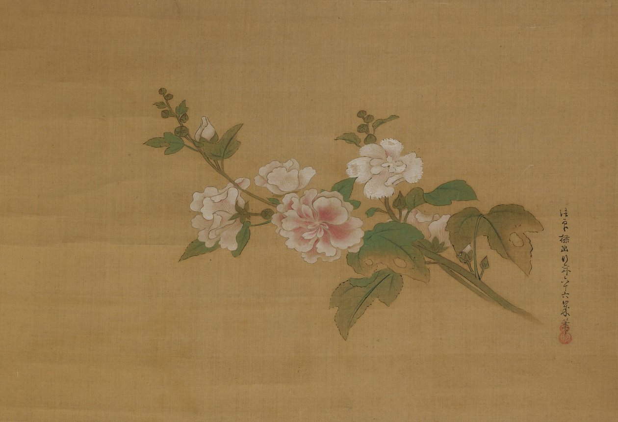 開花ハイビスカスの枝、江戸時代（絹の色） 作： 狩野探幽
