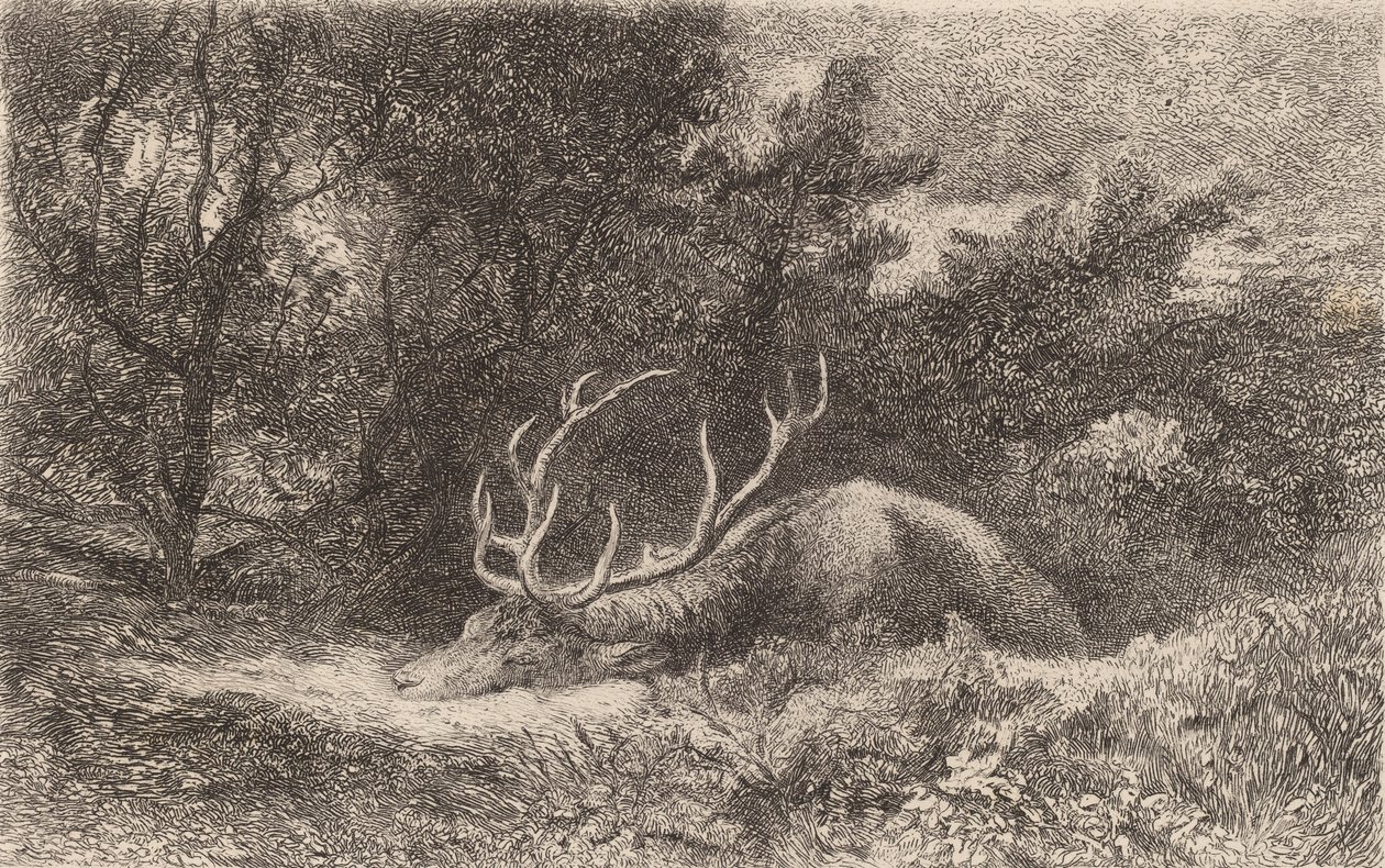 Cerf a la Reposee. 作： カール・ボドマー