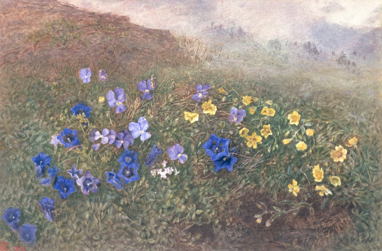 春の山の花、1896年 作： ケイトフロリダ1873 96グッドウィン