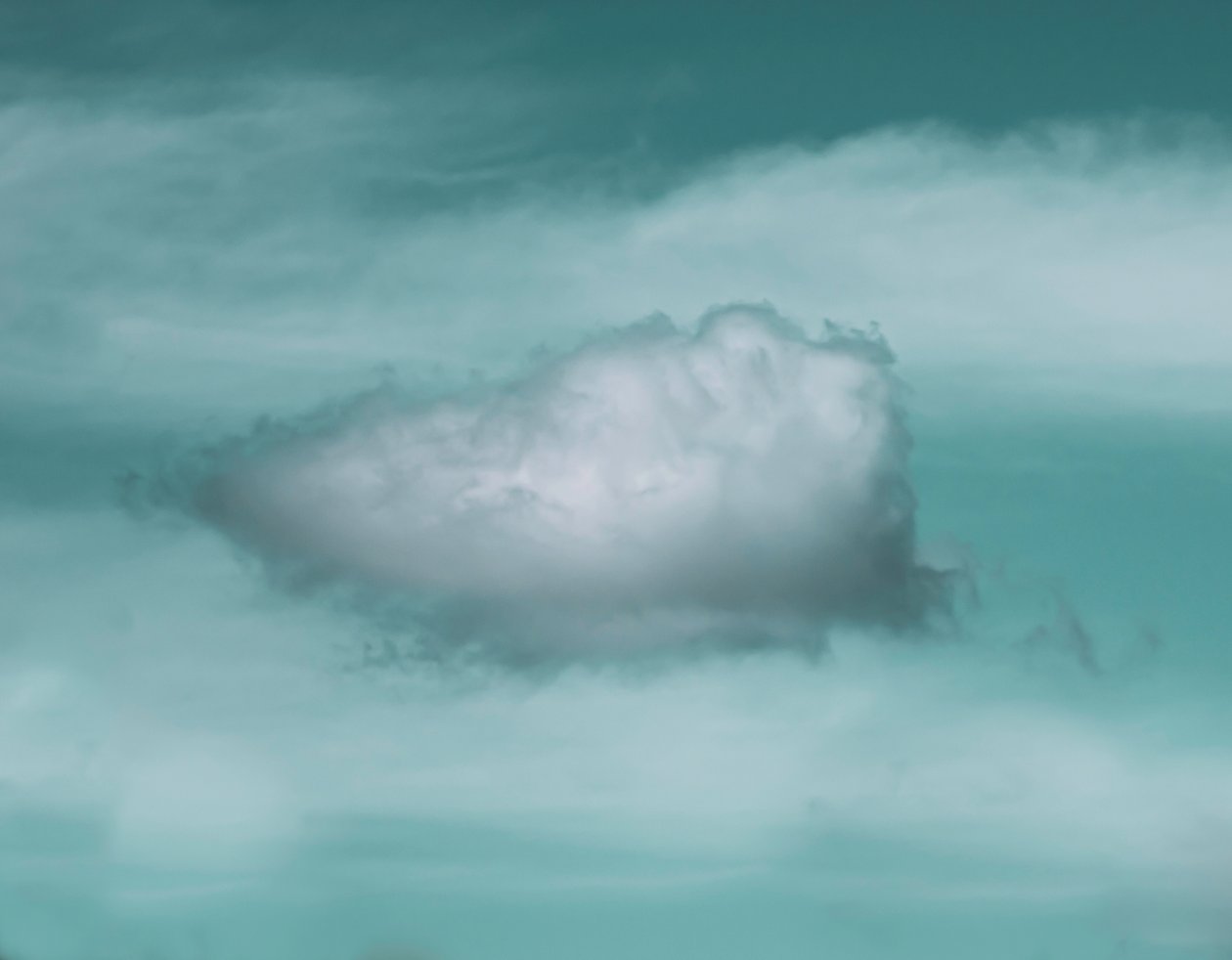 この雲、2021年（写真） 作： キャサ・ウッド