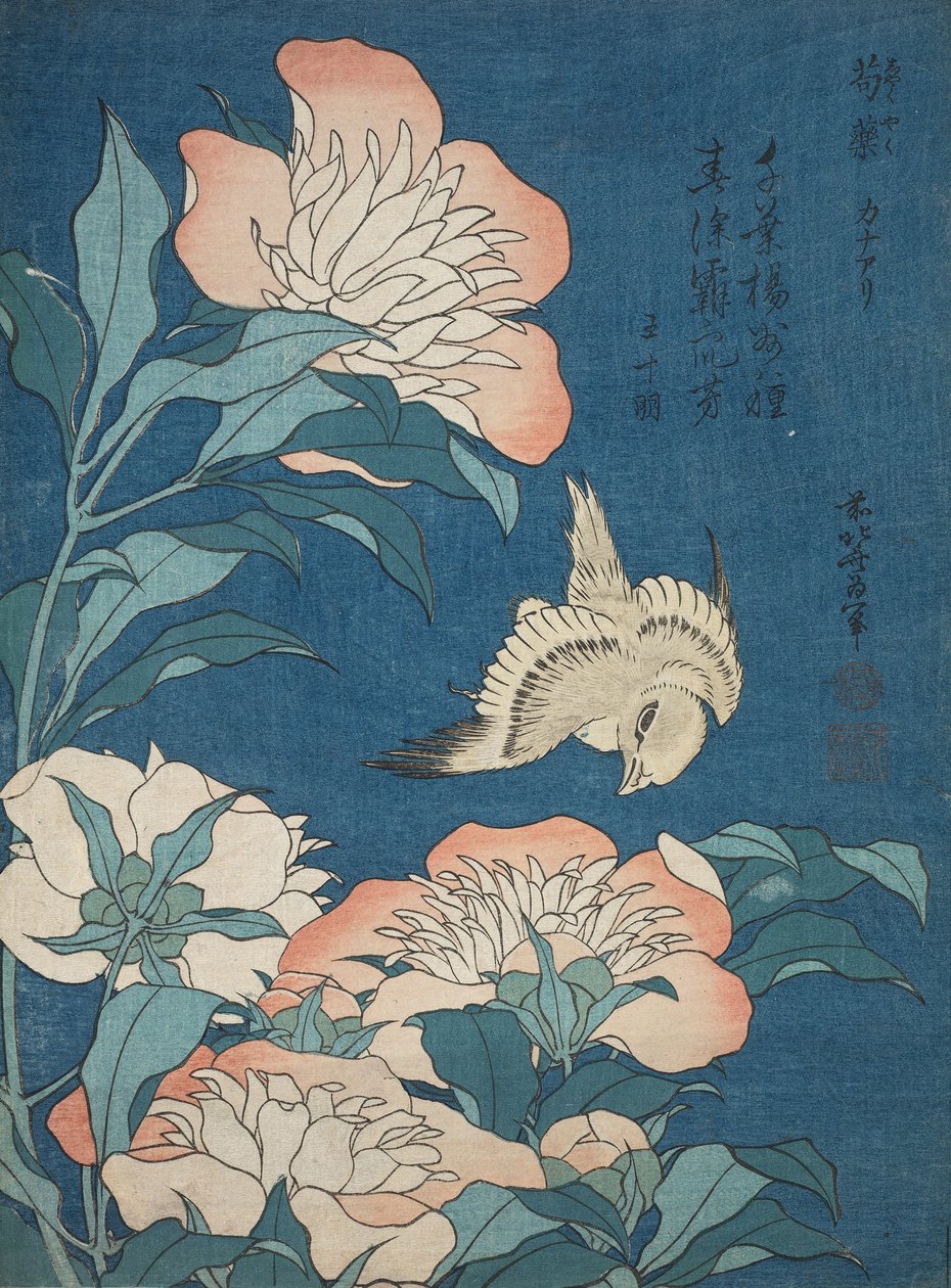 小さな花として知られている無題のシリーズからの牡丹とカナリア（尺八、かなあり） 作： 北斎勝鹿