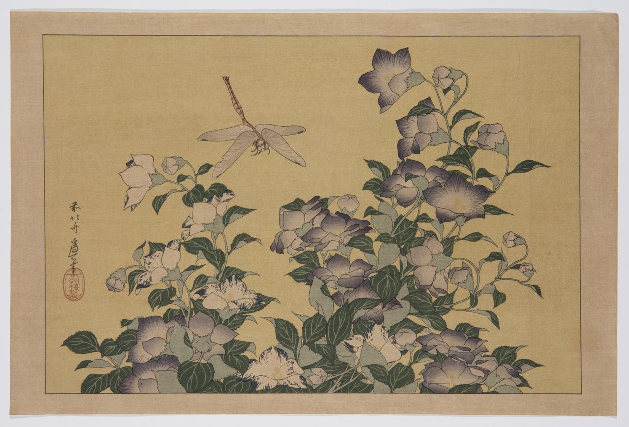 桔梗とトンボ（カラー木版画 作： 北斎勝鹿