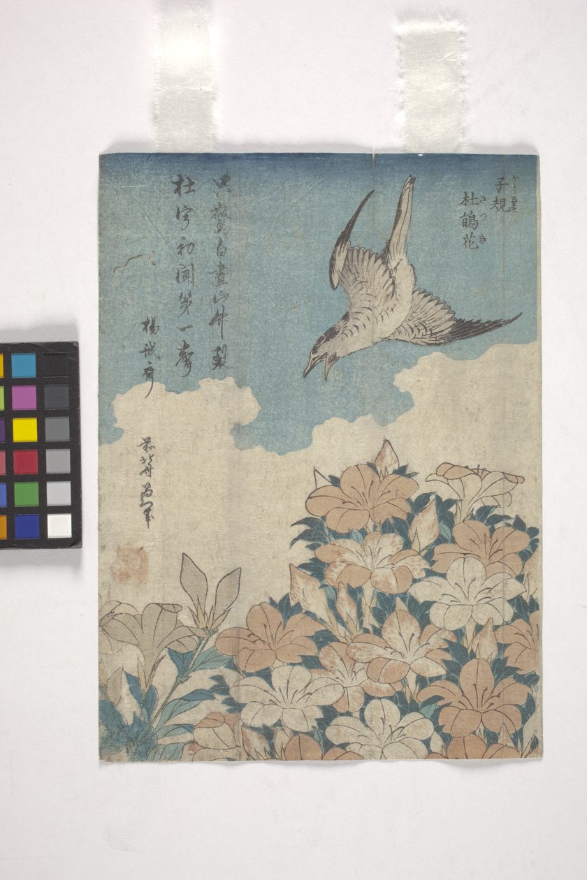 カッコウとツツジ（カラー木版画） 作： 北斎勝鹿