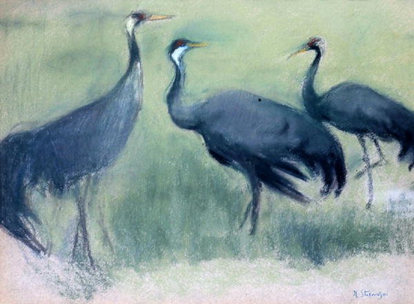 コウノトリ 作： カジミェシュ・スタブロフスキ