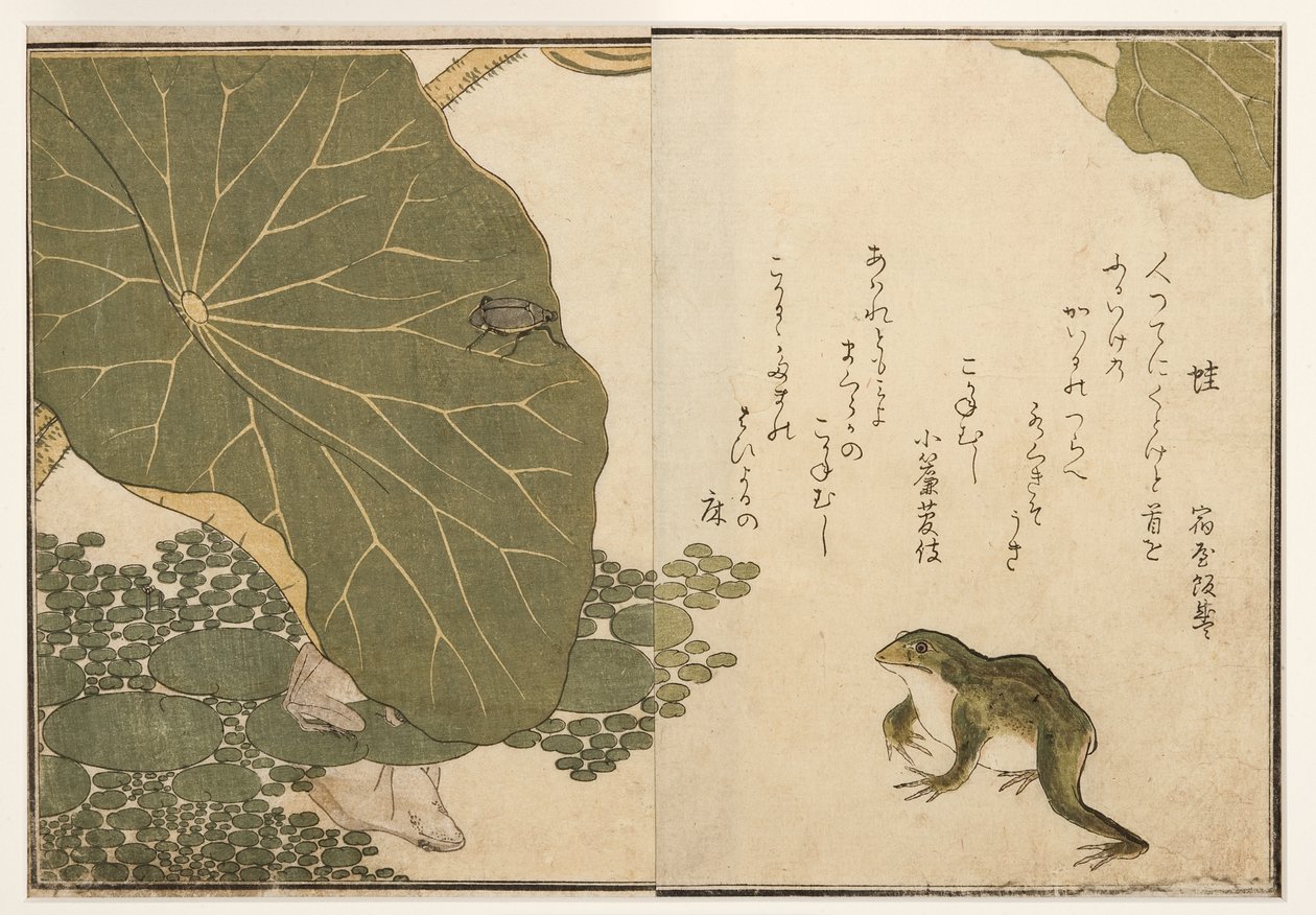 カエルと黄金の昆虫カブトムシ、1788（木版） 作： 北川歌ro