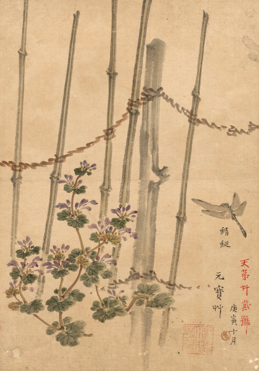 竹垣と菊 作： 幸野楳霊
