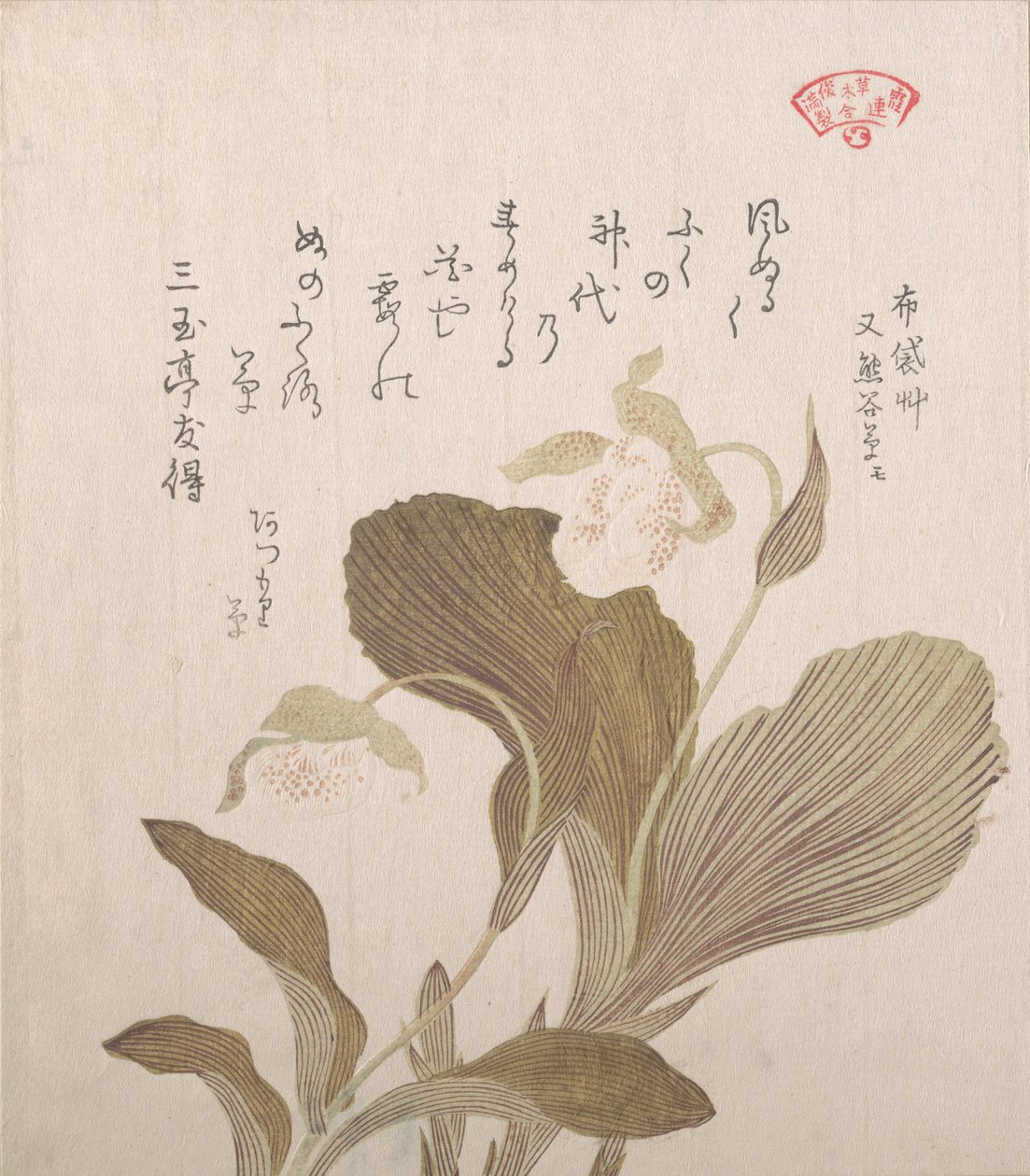 布袋の花 19世紀 作： 久保俊満