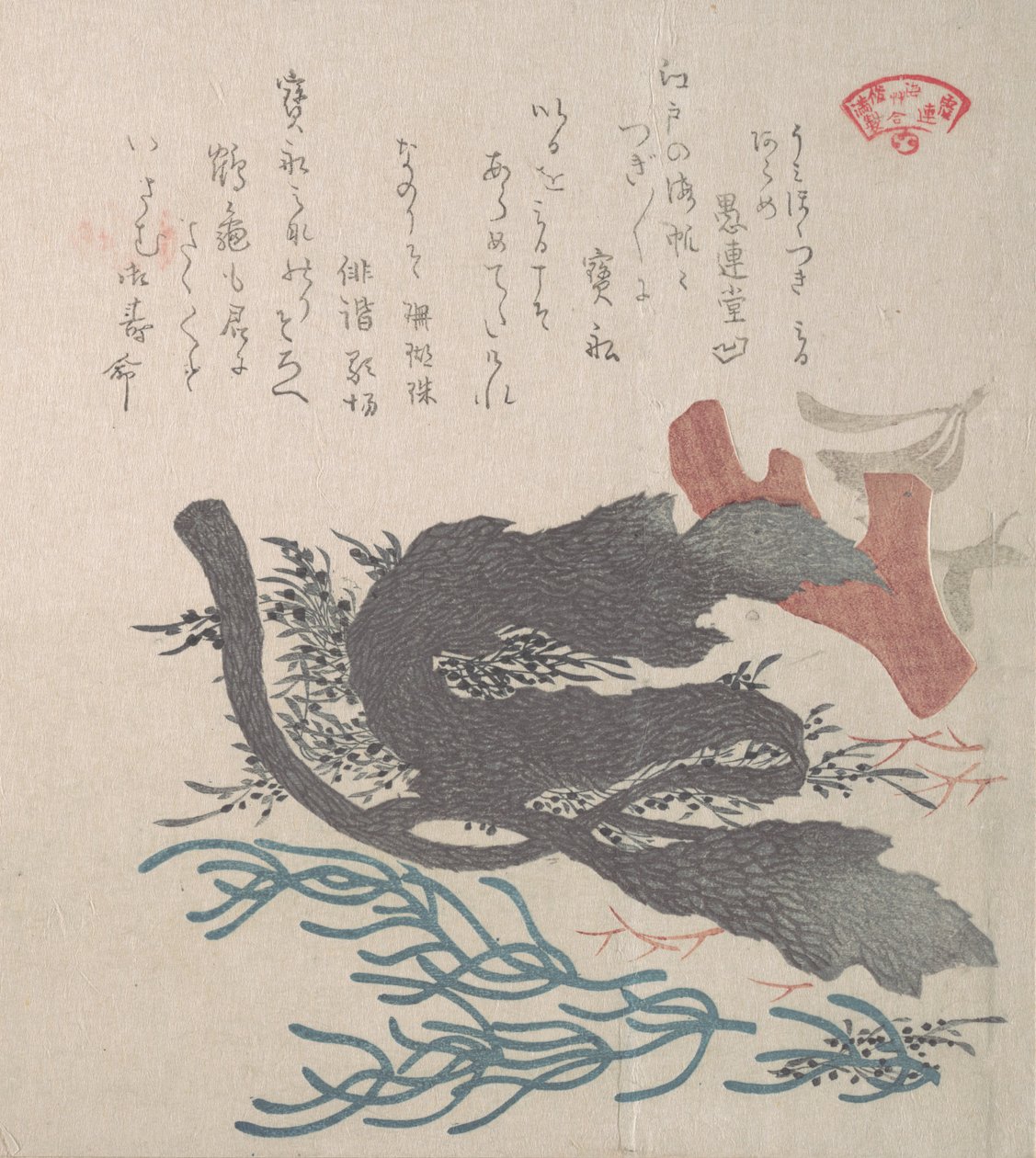 様々な海藻 19世紀 作： 久保俊満