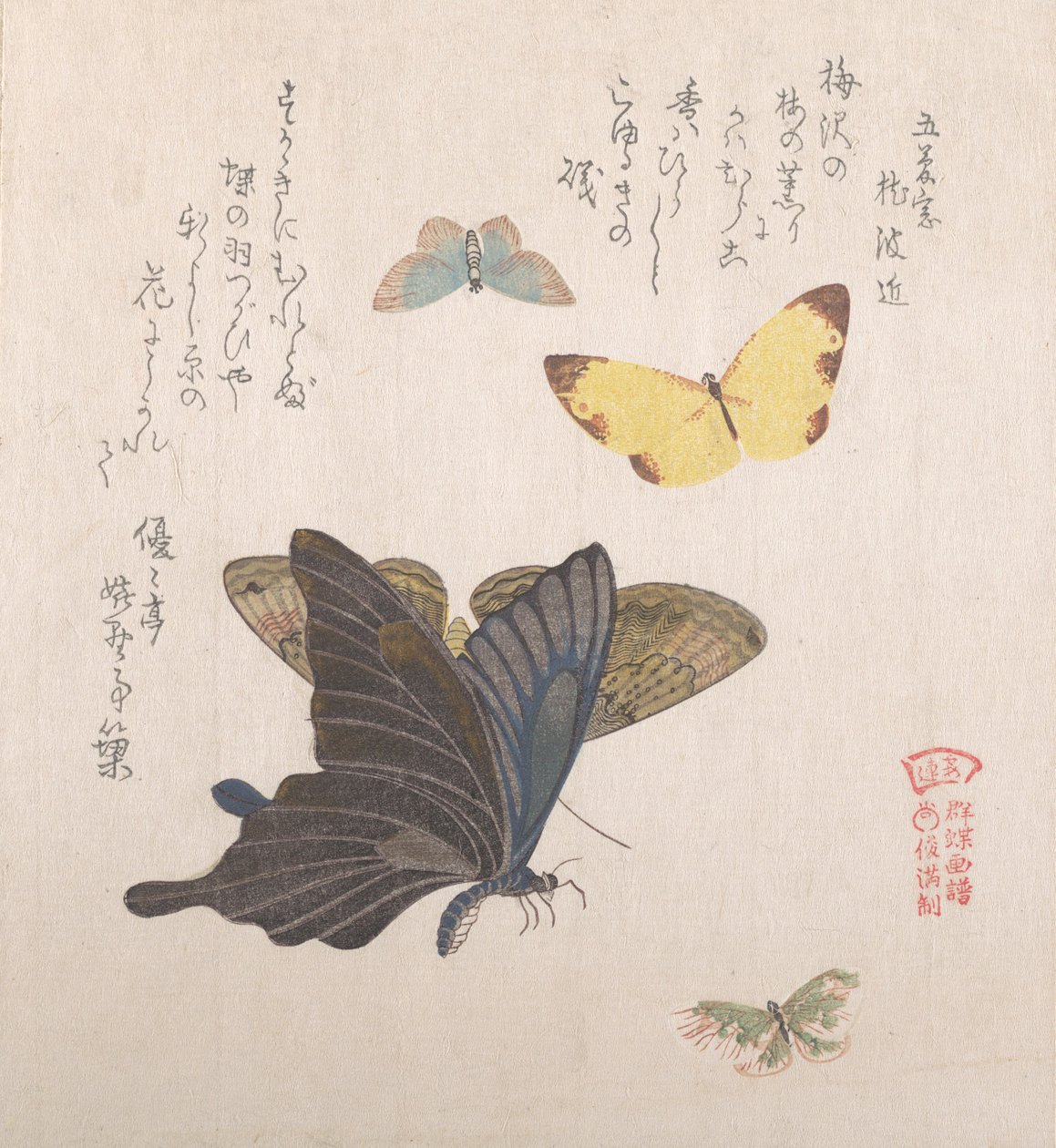 様々な蛾や蝶 19世紀 作： 久保俊満