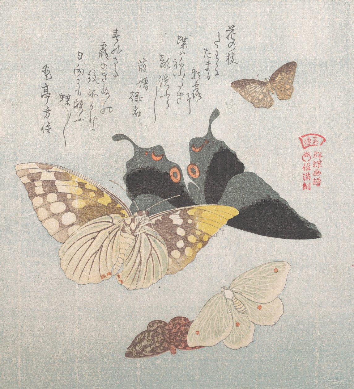 様々な蛾や蝶 19世紀 作： 久保俊満