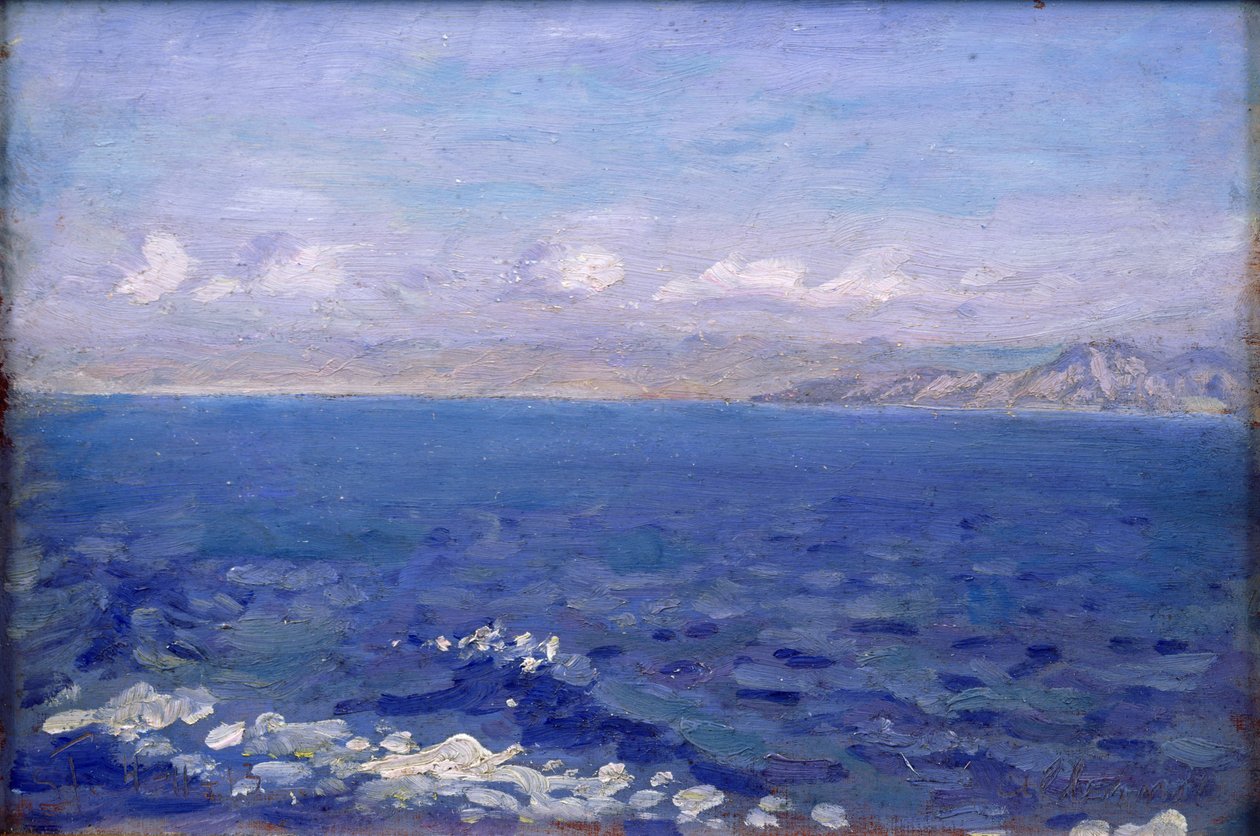 アルバニア海 作： Laurit 社のスプリンクラー Tuxen