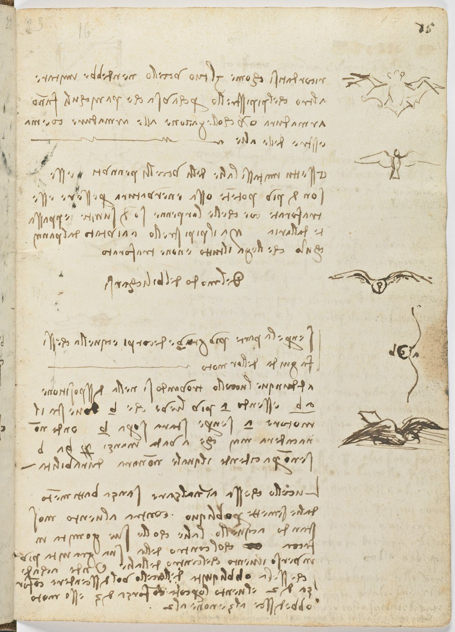 鳥のフライトコード、c。 1505-06、紙の原稿、CC。 18、シート15直腸 作： レオナルド・ダ・ヴィンチ