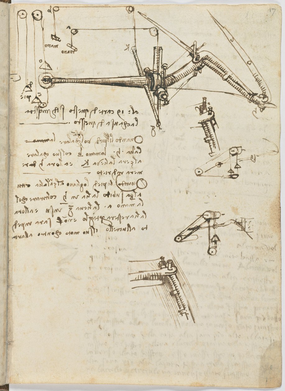 鳥のフライトコード、c。 1505-06、紙の原稿、CC。 18、シート17直腸 作： レオナルド・ダ・ヴィンチ