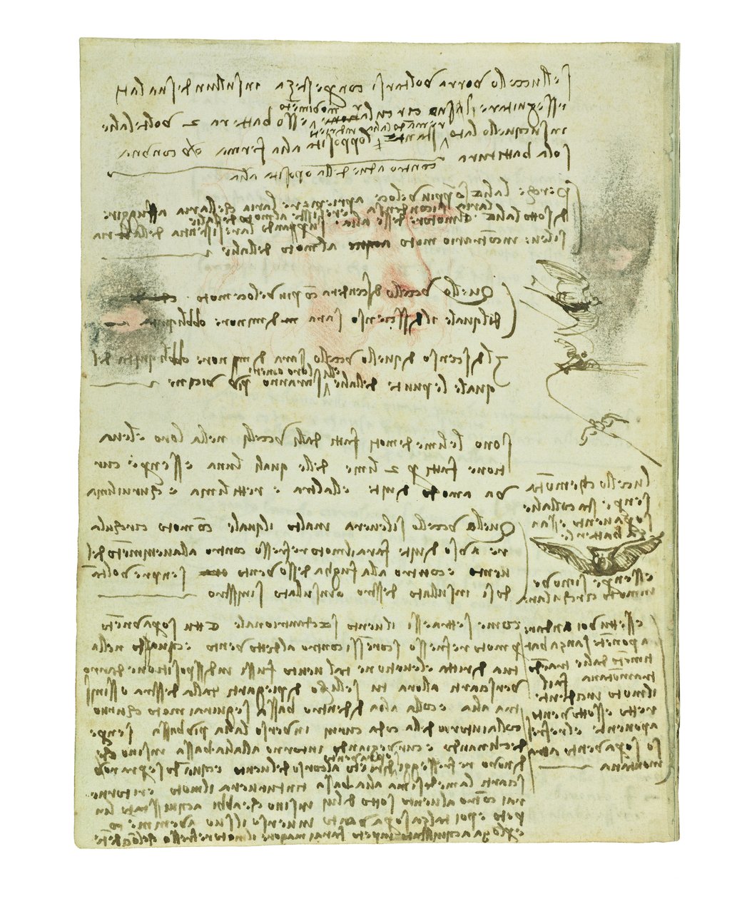 鳥の飛行に関するコーデックス、Folio 10 verso 作： レオナルド・ダ・ヴィンチ