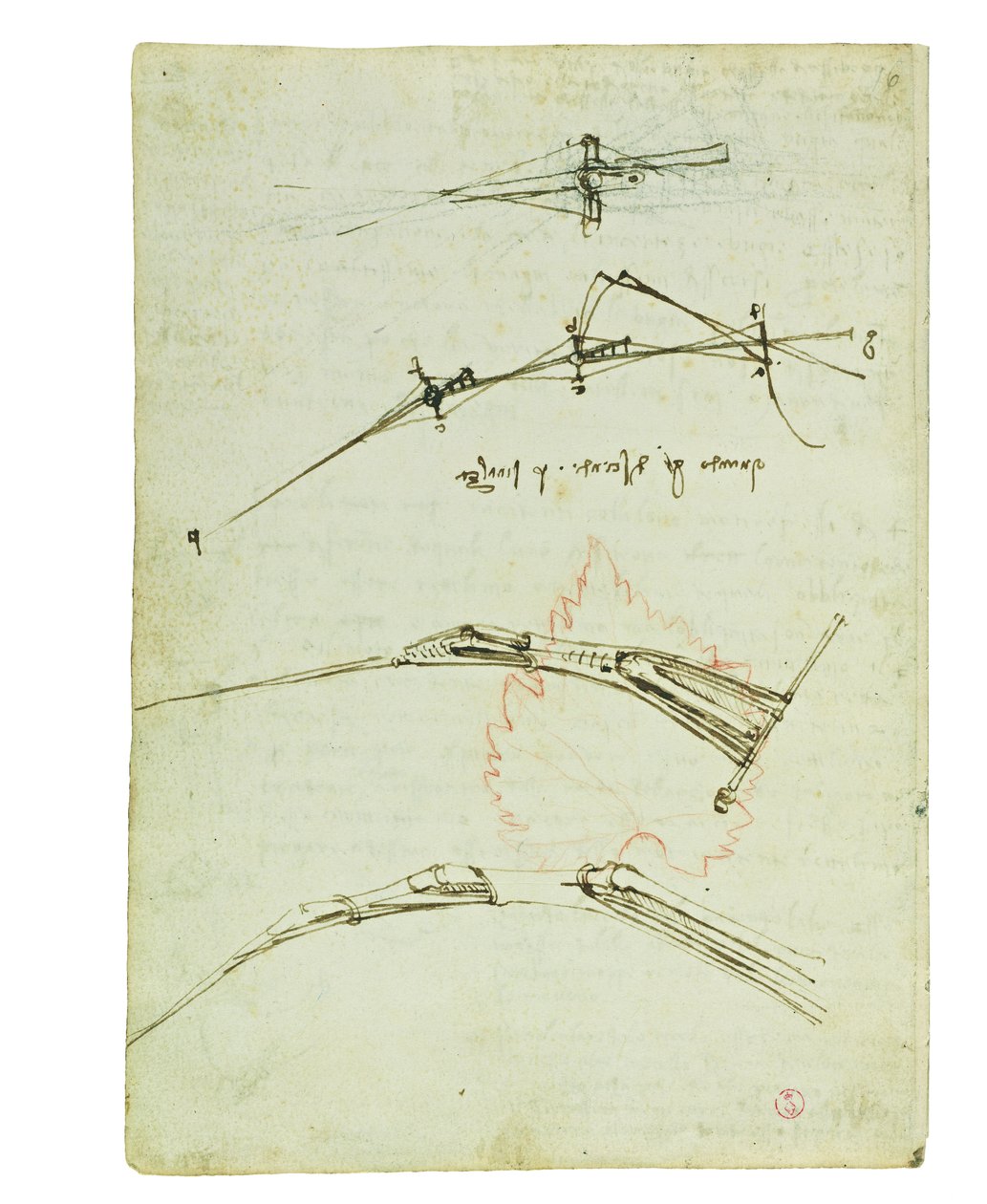 鳥の飛行に関するコーデックス、Folio 11 verso 作： レオナルド・ダ・ヴィンチ