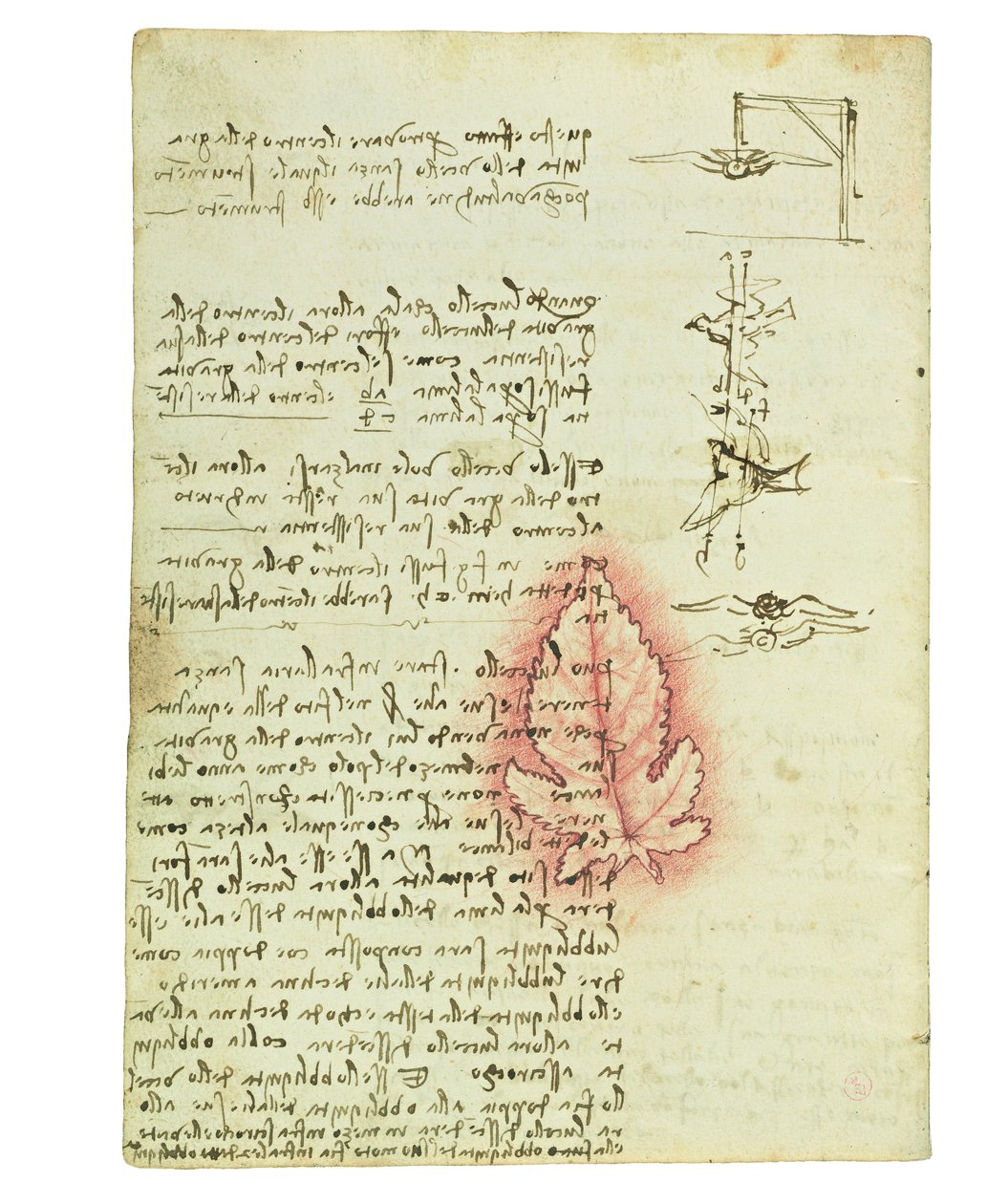 鳥の飛行に関するコーデックス、Folio 15のバージョン 作： レオナルド・ダ・ヴィンチ