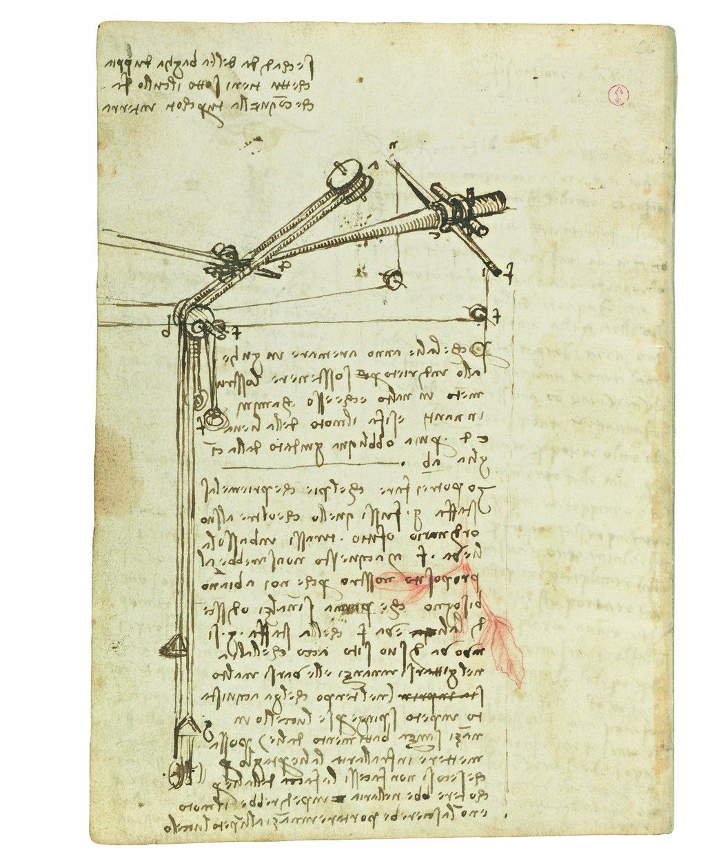 鳥の飛行に関するコーデックス、Folio 16 verso 作： レオナルド・ダ・ヴィンチ