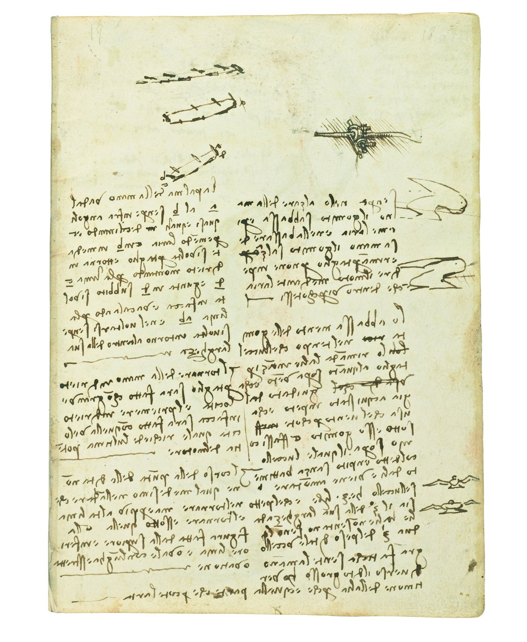 鳥の飛行に関するコーデックス、Folio 18 Recto 作： レオナルド・ダ・ヴィンチ