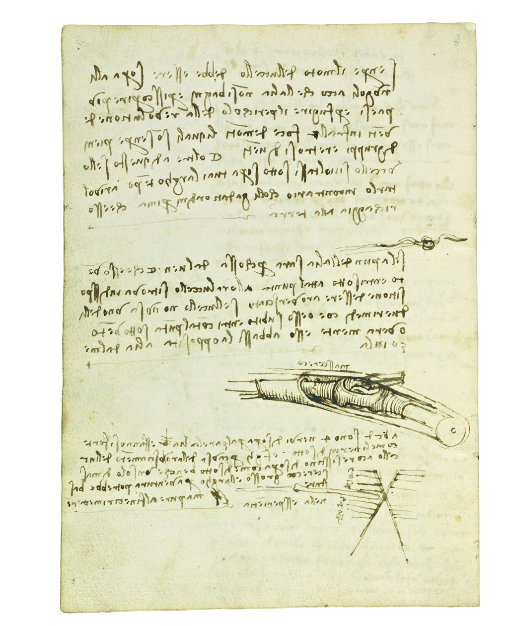 鳥の飛行に関するコーデックス、Folio 6 verso 作： レオナルド・ダ・ヴィンチ