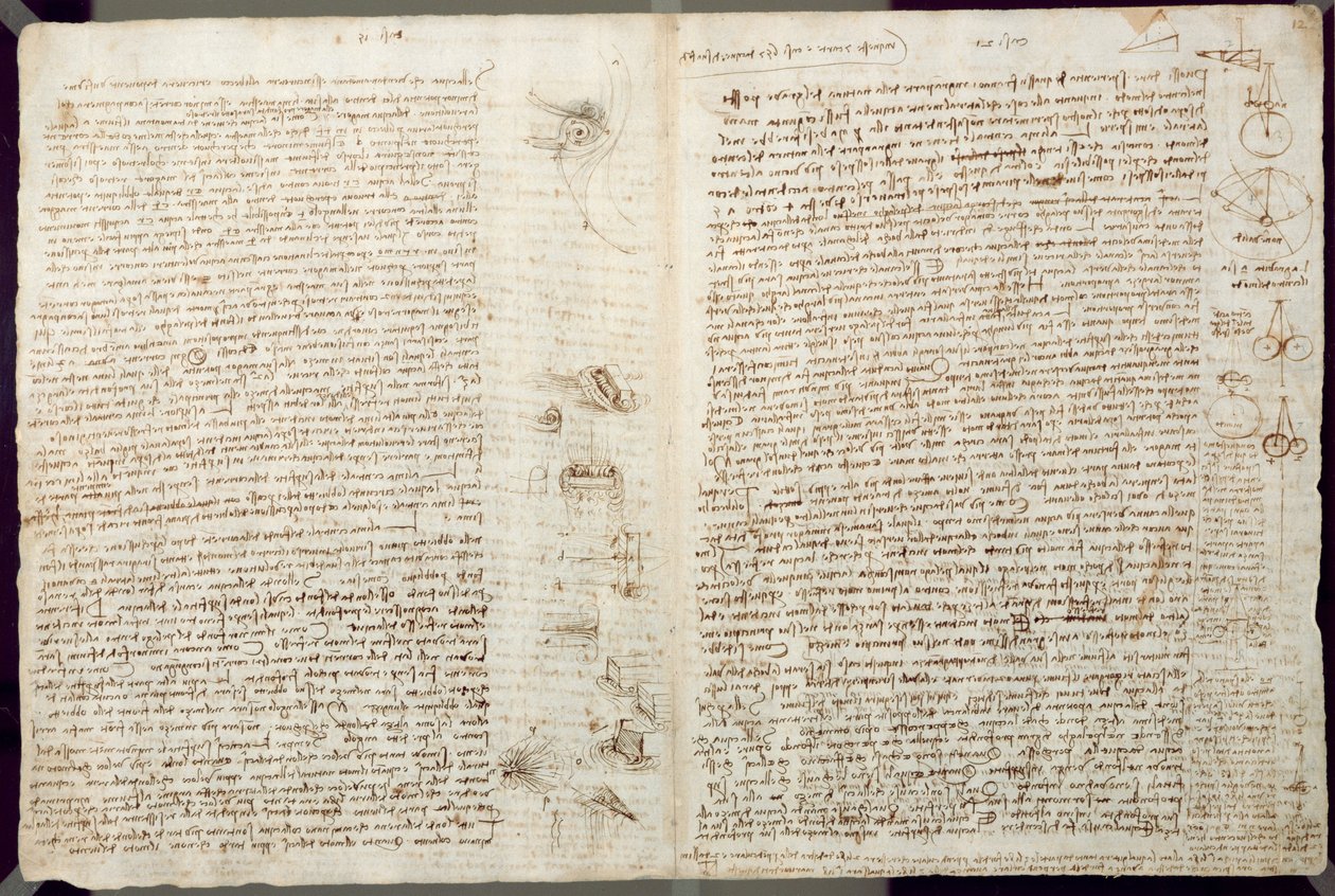 コーデックスレスター、1508-12の科学図（リネン紙のセピアインク） 作： レオナルド・ダ・ヴィンチ