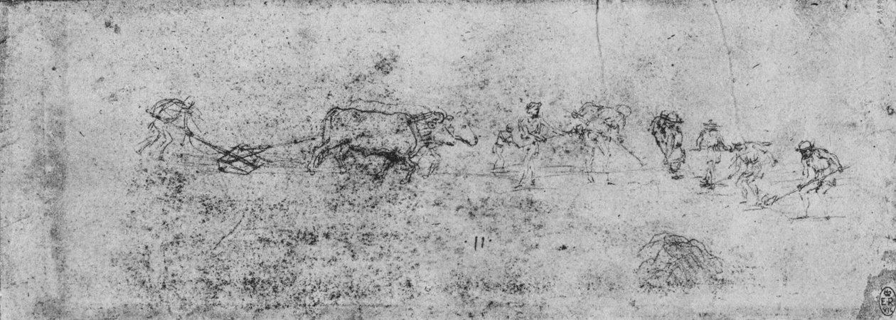 男性の耕作と掘り起こし、c1480 1945 作： レオナルド・ダ・ヴィンチ