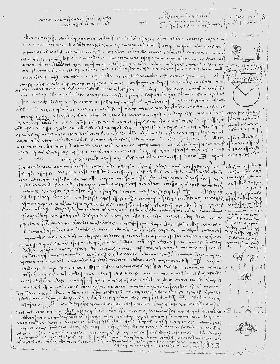 コーデックスレスターのページ、1508-12 作： レオナルド・ダ・ヴィンチ