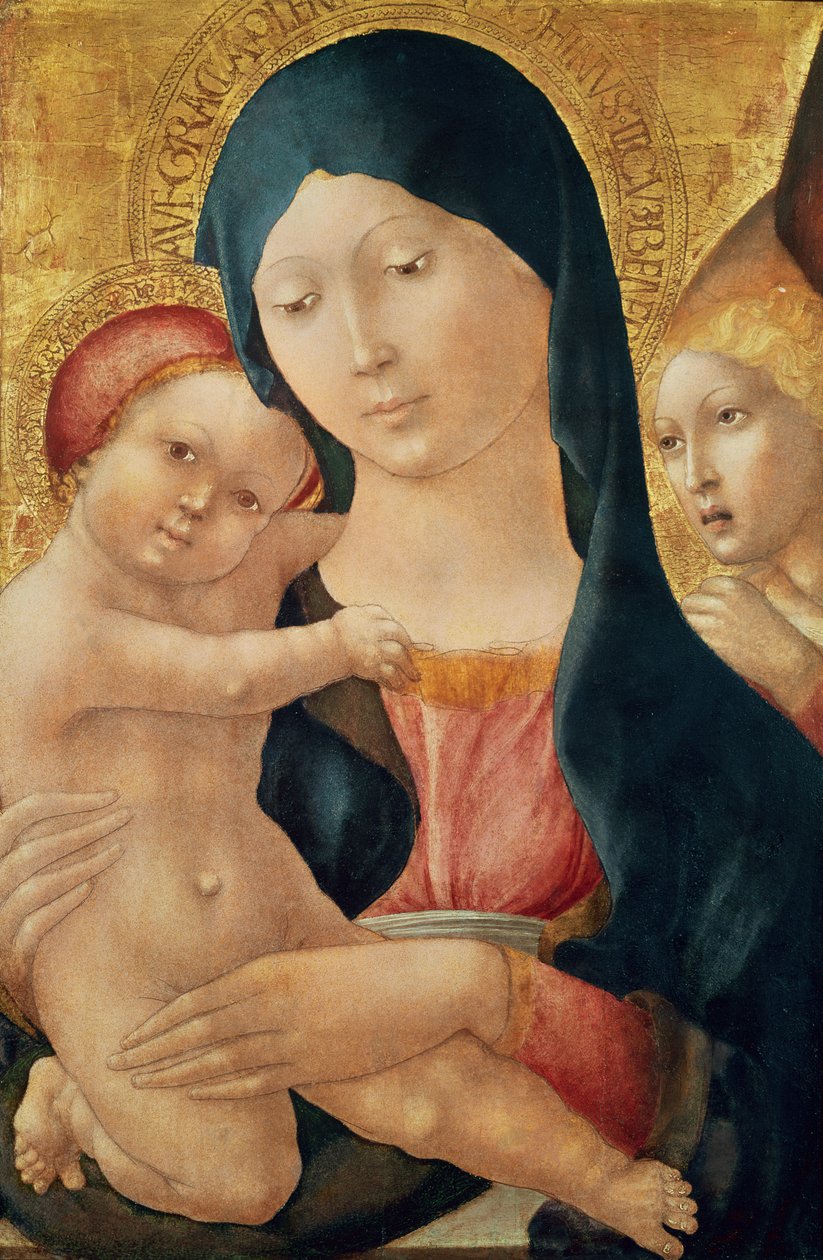 天使を持つ聖母子、1468〜70年頃（パネル上のテンペラ） 作： リベラルズ・ダ・ヴェローナ