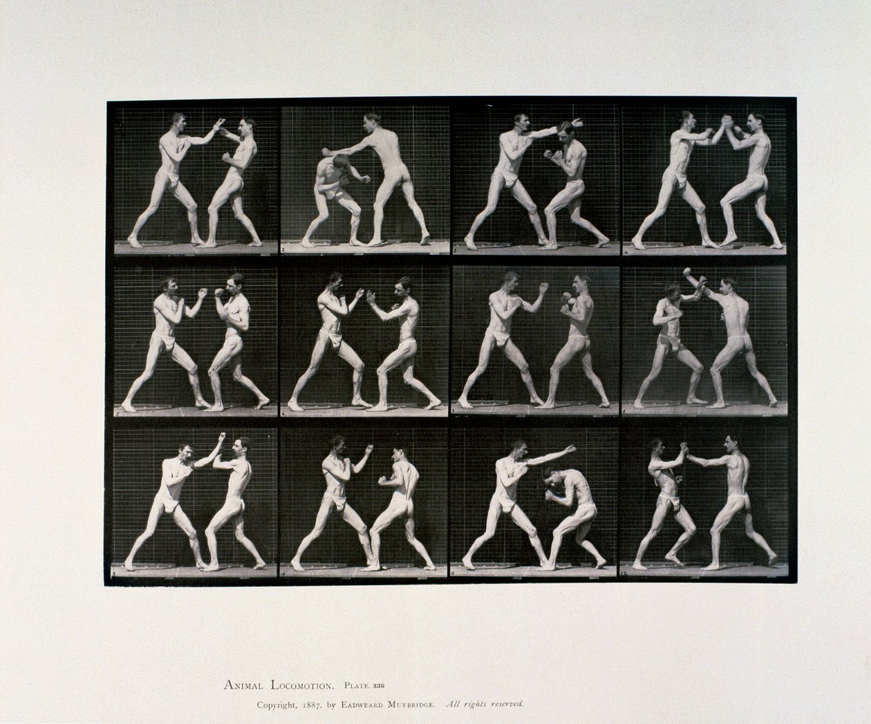 ヌードの男性アスリートがボクシングをする様子（1872-1885年頃 作： 不明不明