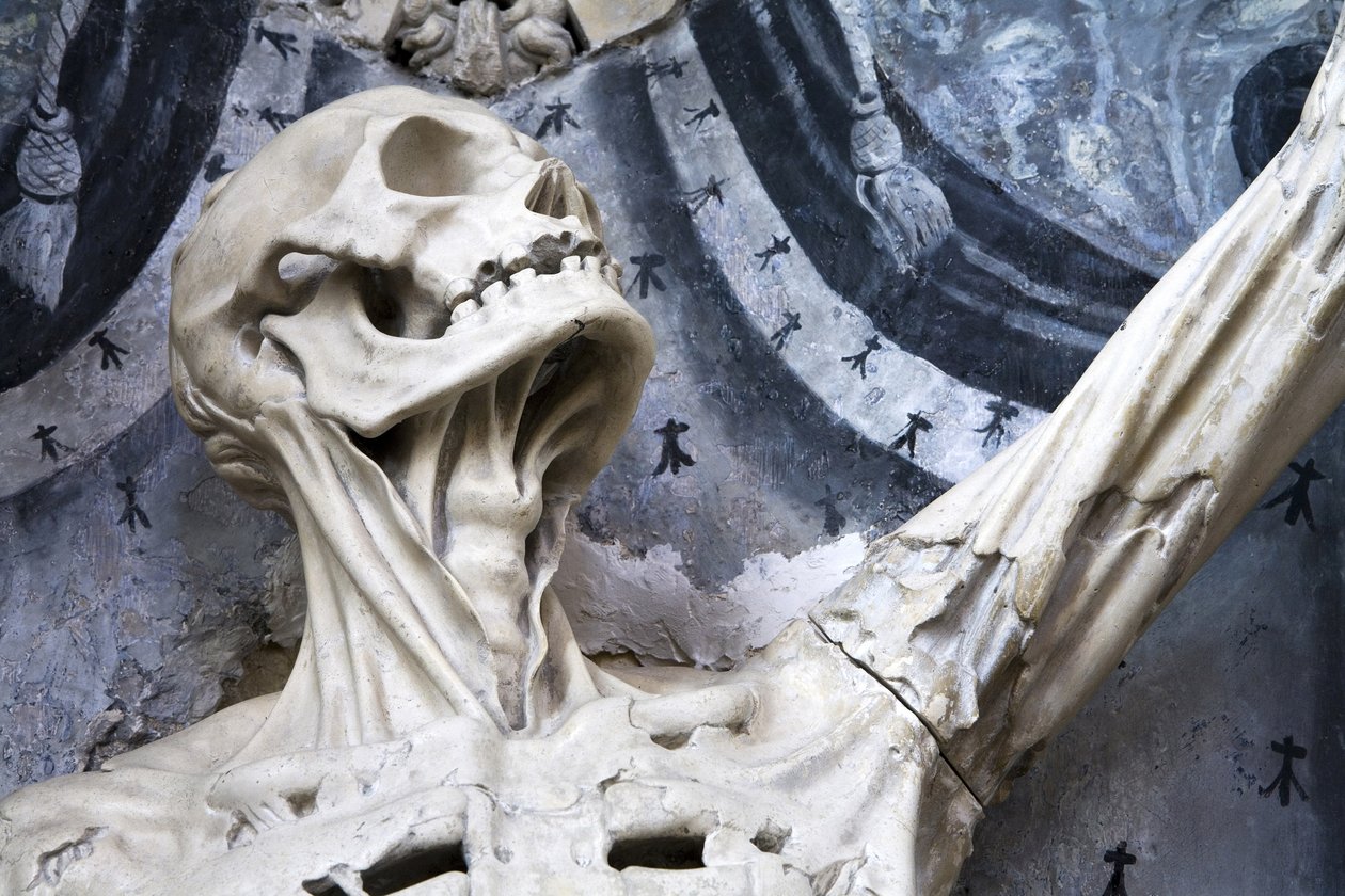 Flayed、またはThe Skeleton、詳細 作： リジェ・リッチー