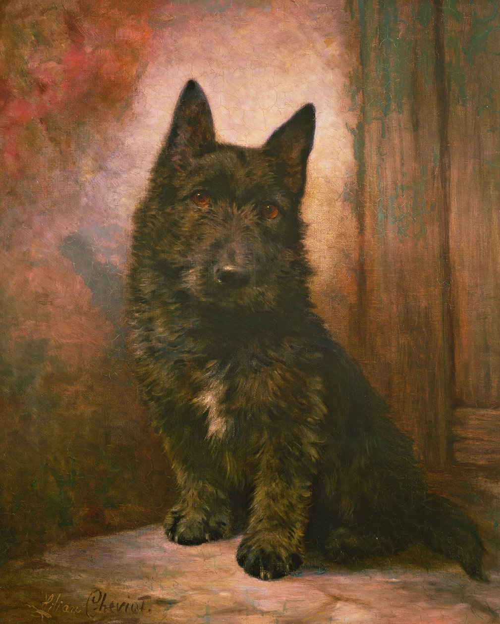 スコッティ子犬 作： リリアン・シェビオット