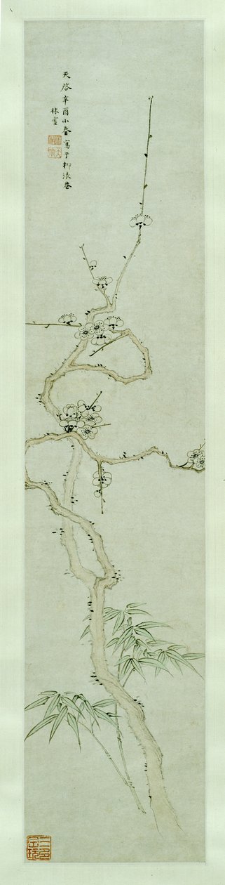 サクラと竹 作： 林雪