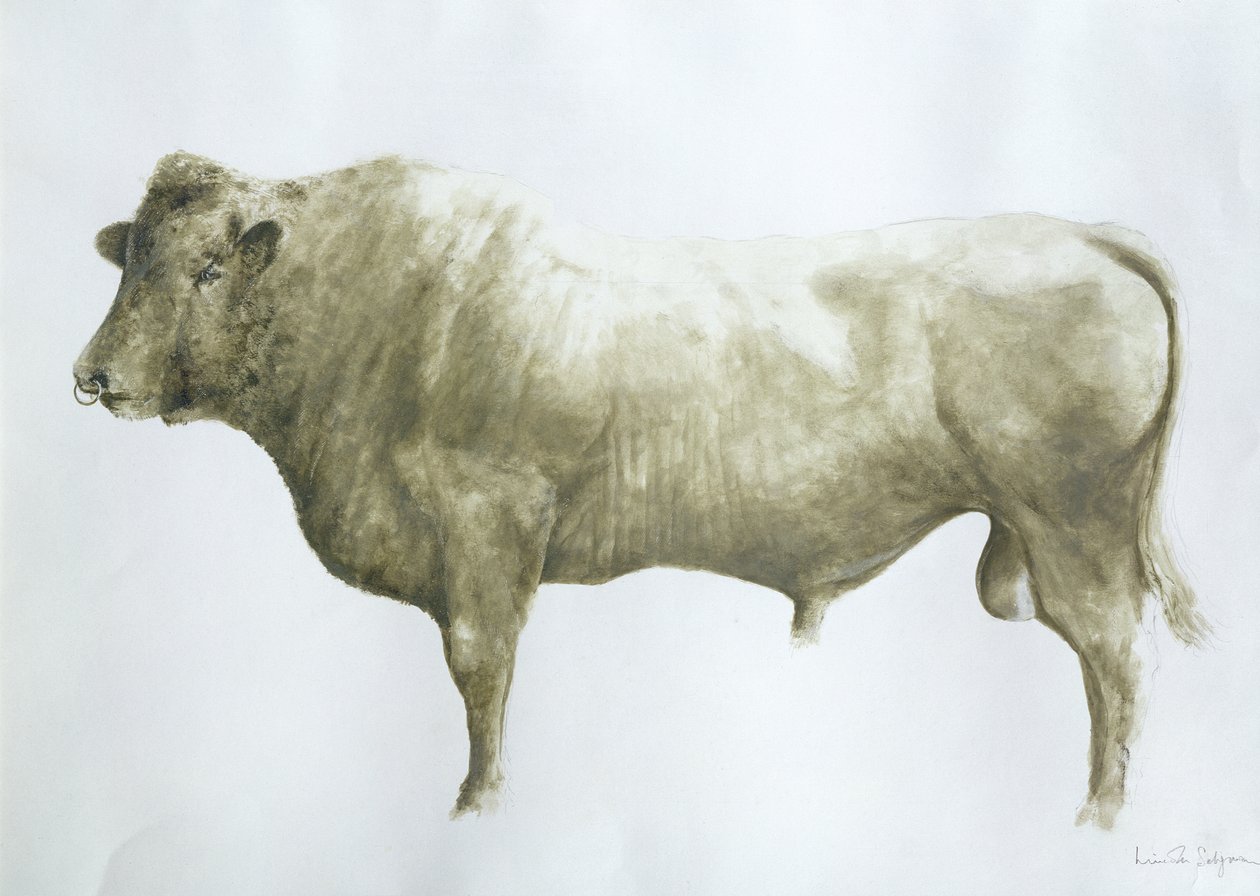 Islay Bull、2004（キャンバスにアクリル） 作： リンカーン・セリグマン