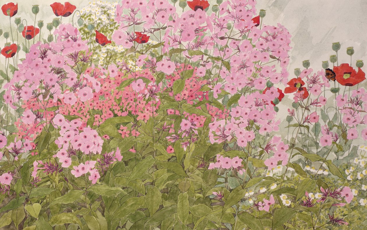 蝶とピンクのフロックスとポピー（紙にトイレ） 作： リンダ・ベントン