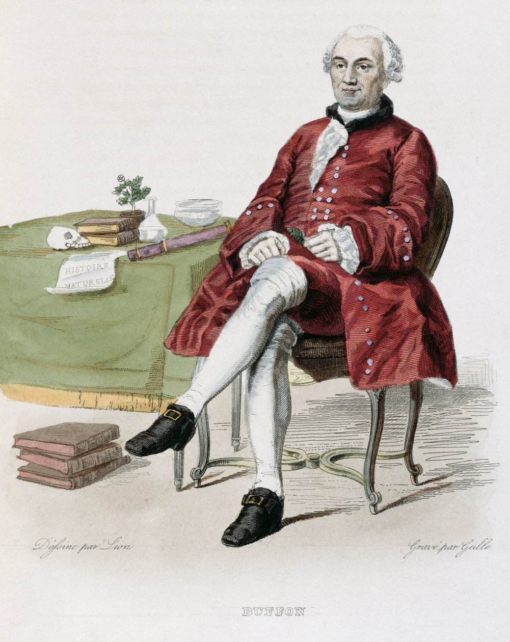 E.メネシェ、1835年の「ルプルタルクフランセ」のムッシュドブッフォン（1707-88）のイラスト 作： ライオン